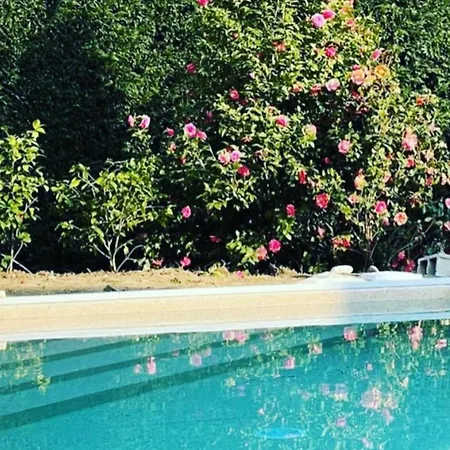 Jejia- Pool And Garden Appartement Lesa